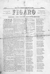 1871-06-08.pdf.jpg